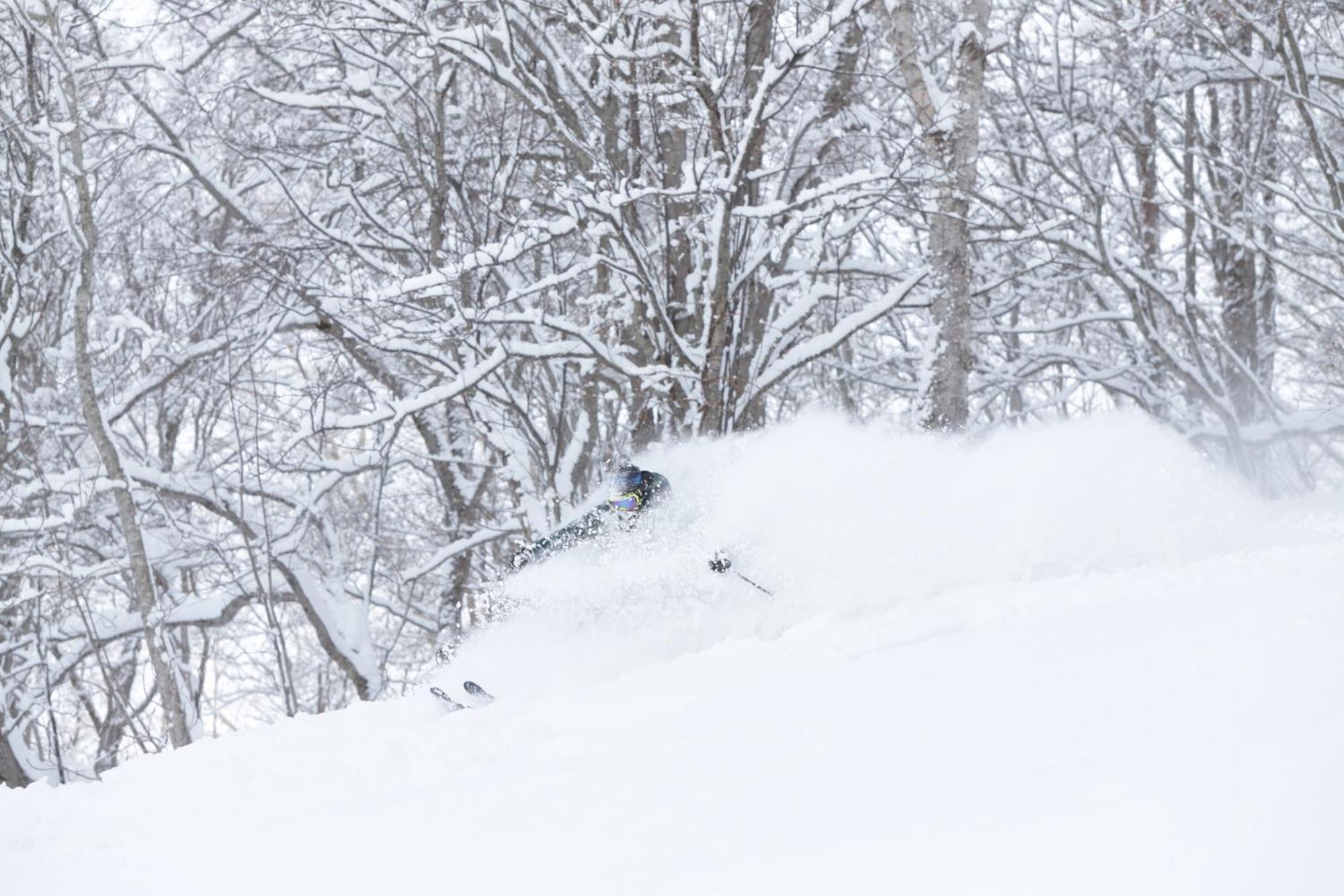 Niseko Highland Cottages Екстериор снимка
