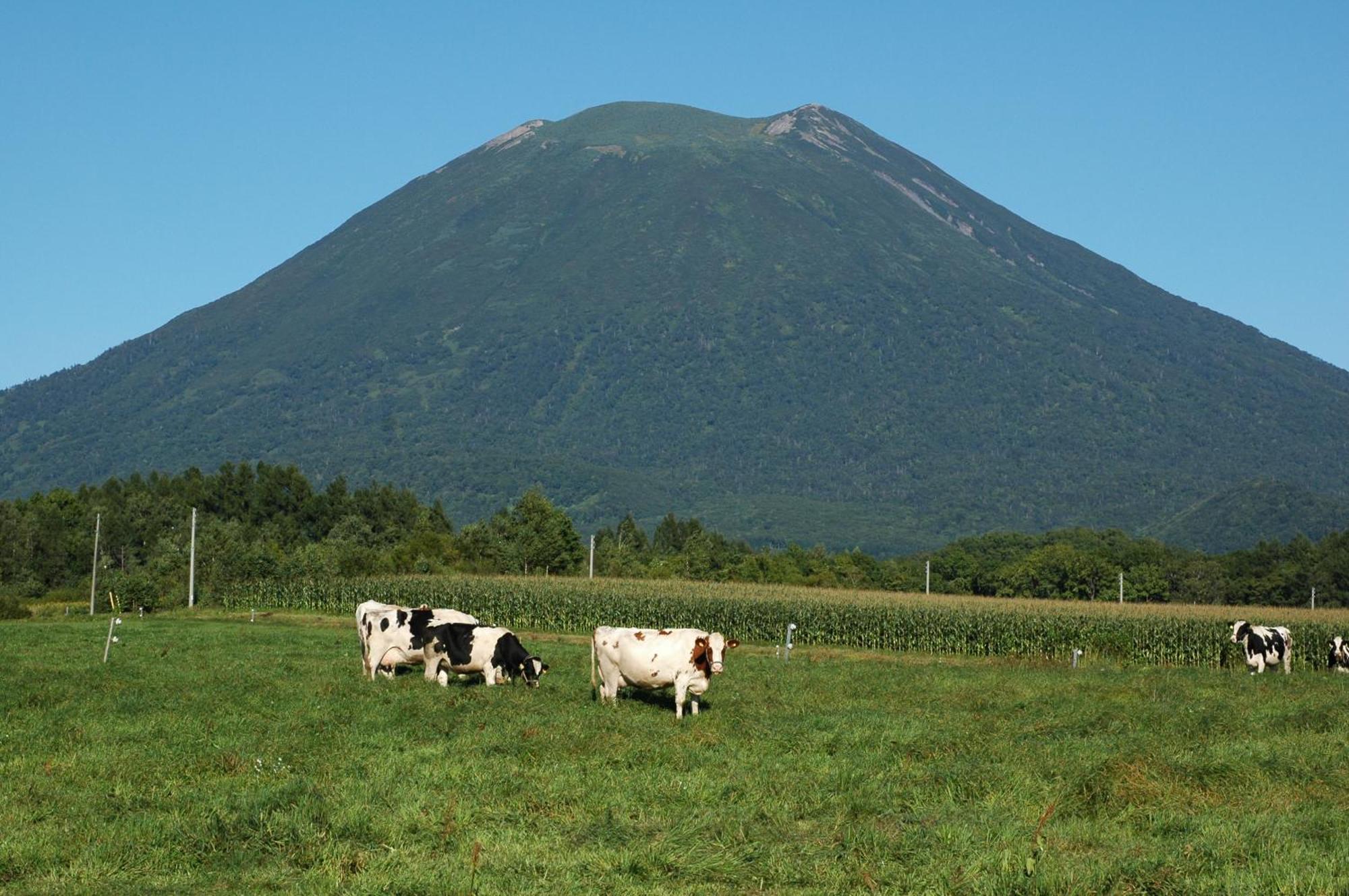 Niseko Highland Cottages Екстериор снимка